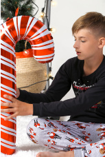 Пижама для мальчика в стиле family look "Мороз-2"