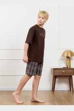 Костюм для мальчика Браун-2